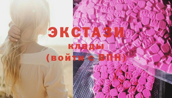 крисы Краснослободск