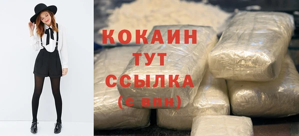 крисы Краснослободск