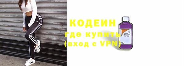 крисы Краснослободск