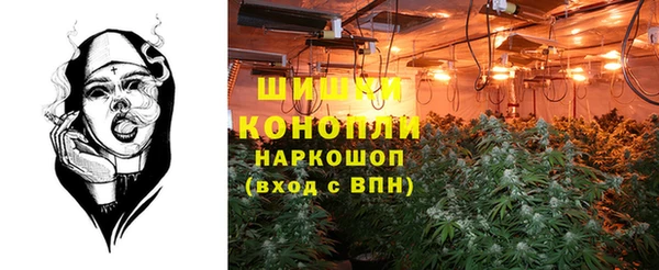 крисы Краснослободск