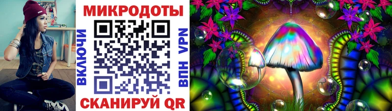 Купить закладки  Ипатово  Галлюциногенные грибы Psilocybe 